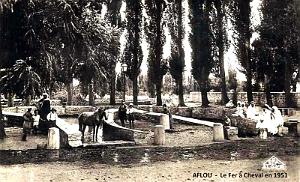 AFLOU - FER A CHEVAL - 1951
